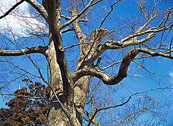 育碧将《冠军冲刺》发行窗推迟至“春末”