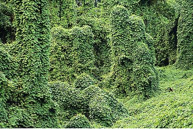 生存恐怖《Room 817导剪版》上架Steam 4月22日发售